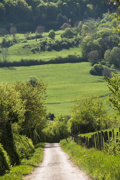 Bourgogne