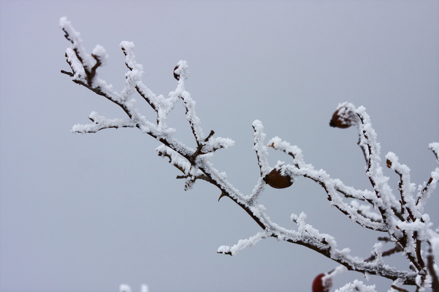 Givre