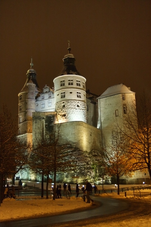Château des ducs de Wurtemberg