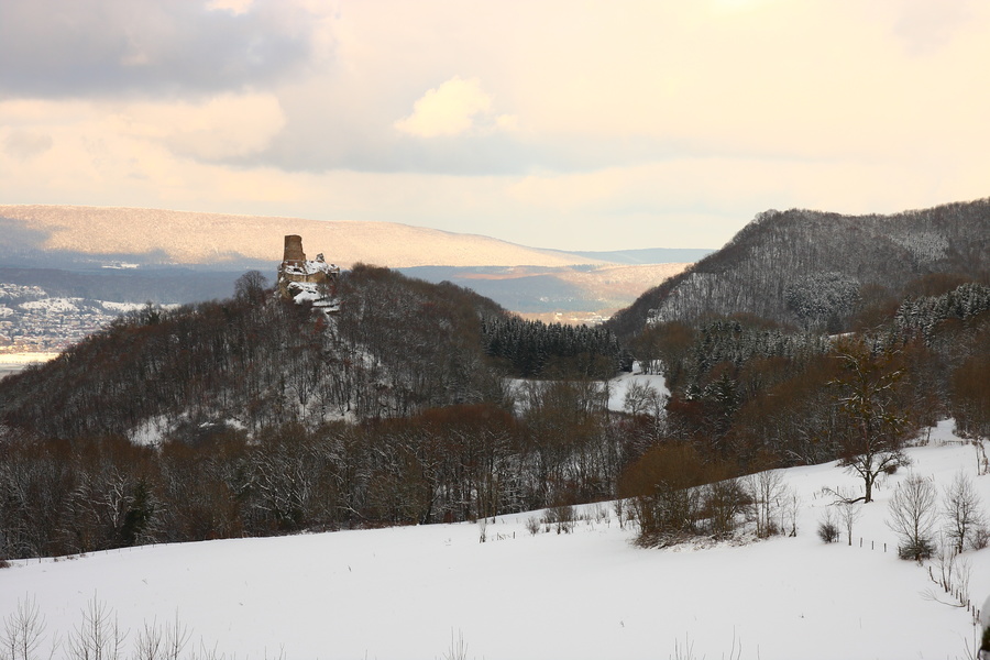 Le château de Montfaucon