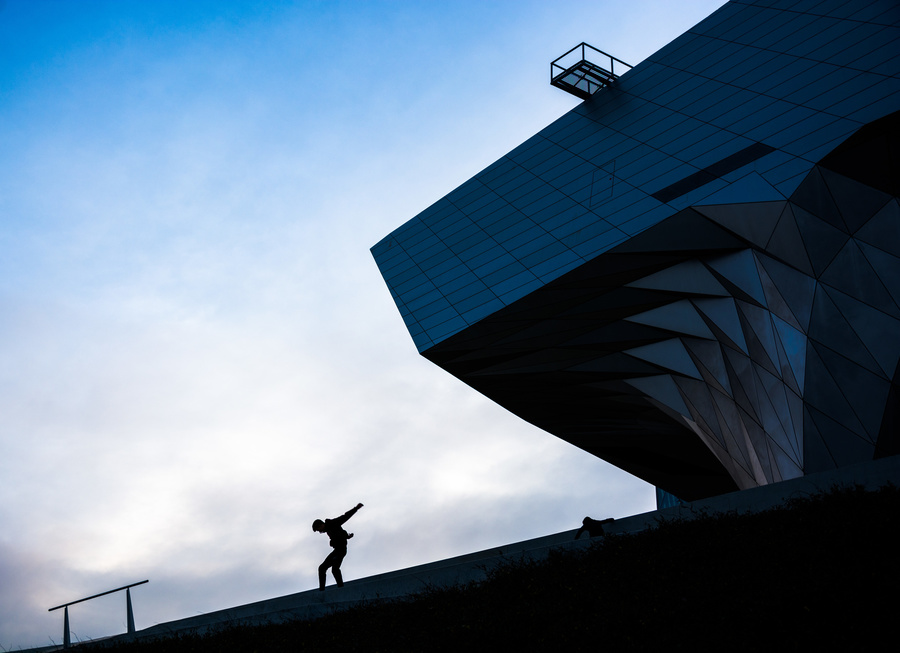 Musée des confluences