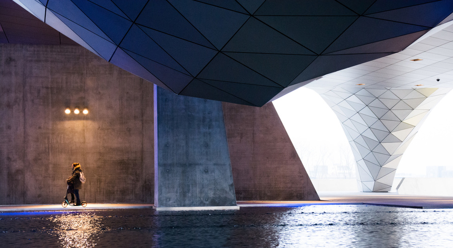 Musée des confluences