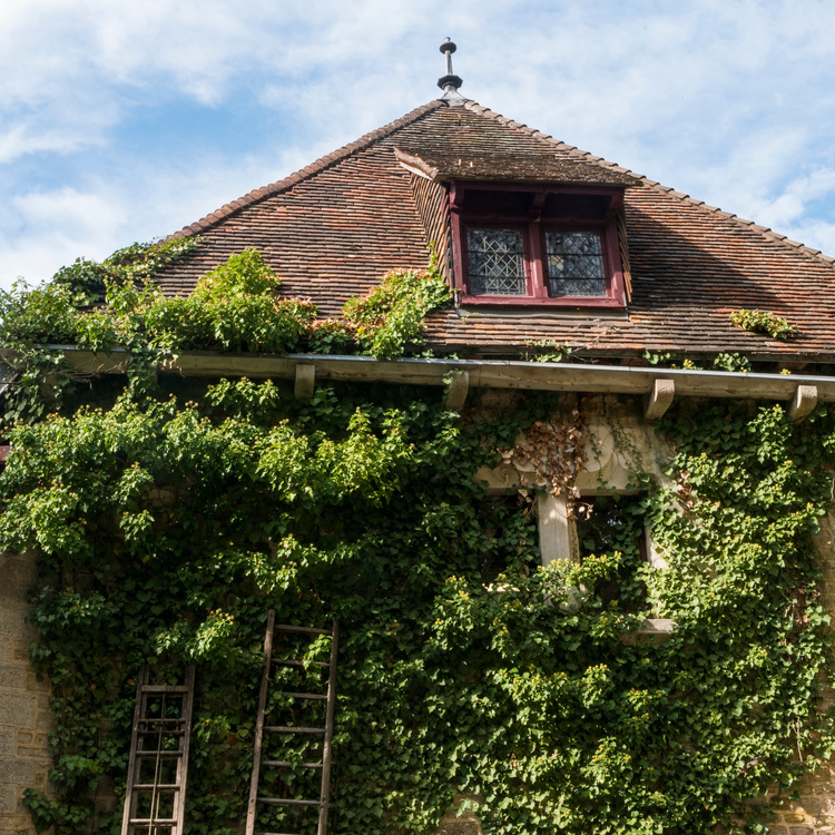 La Rochepot