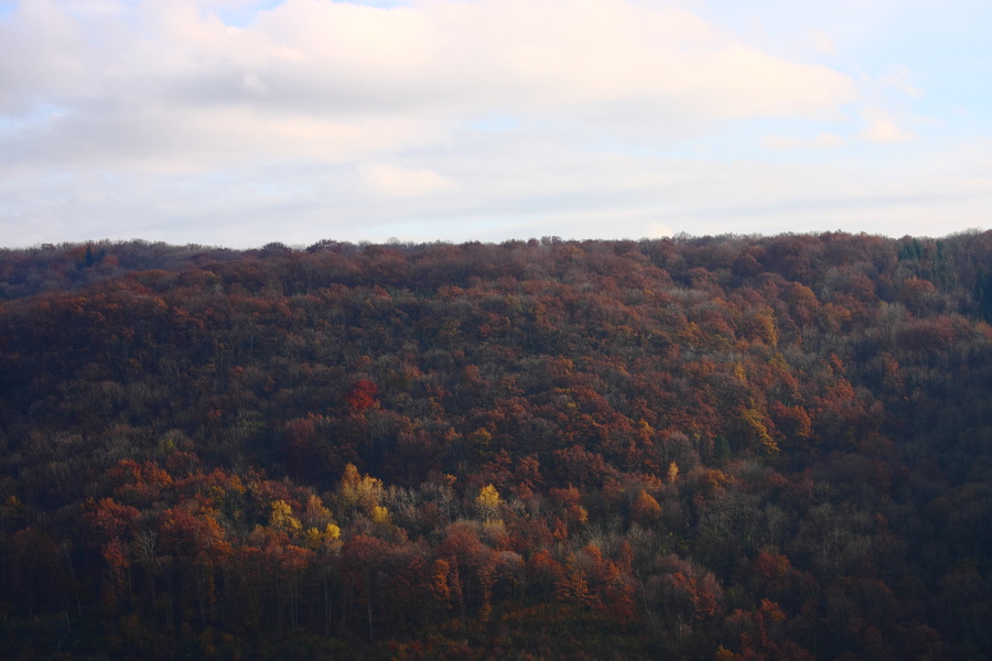 Automne
