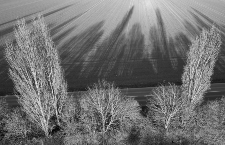 Rouvres-en-Plaine