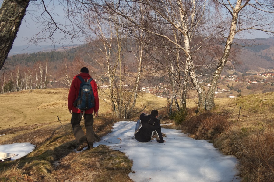Chute