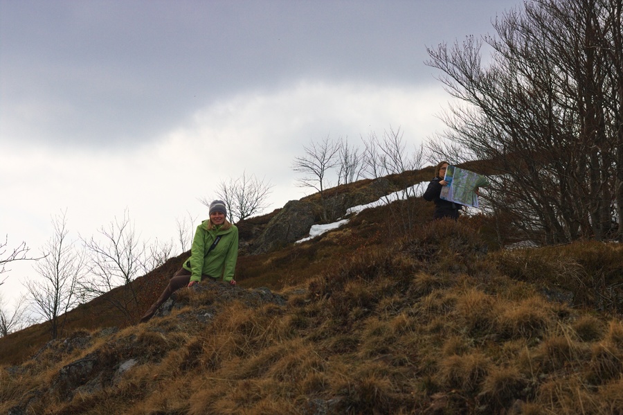 Chaume des Neufs Bois