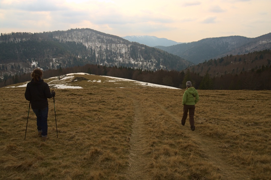 Chaume des Neufs Bois