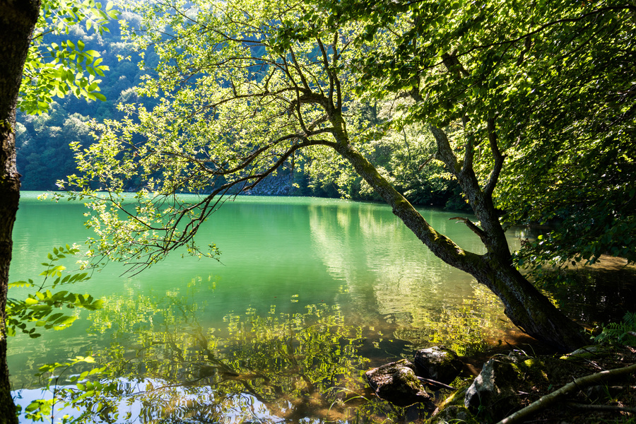 Lac des Perches