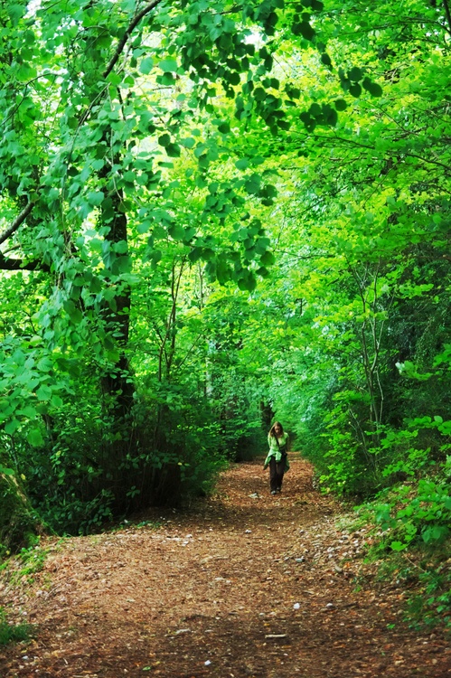 Montée vers le fort Belin