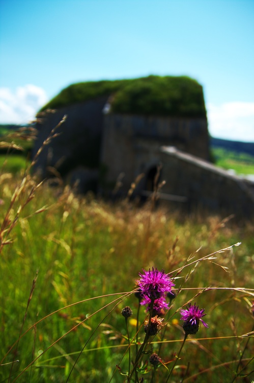 Fort Belin