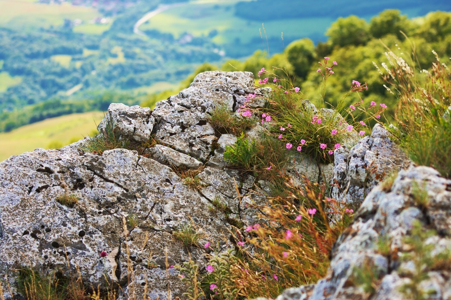 Mont Poupet