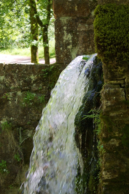 Source du Lison