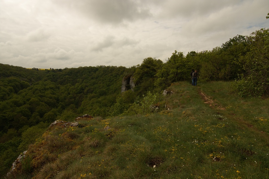 Combe Renevey