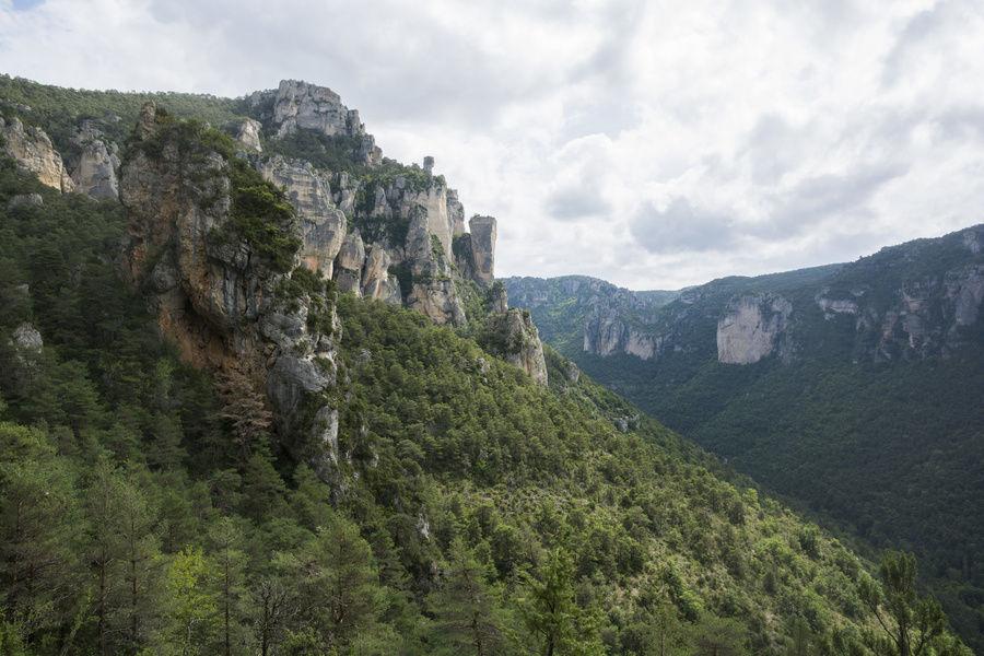 Falaises et vases