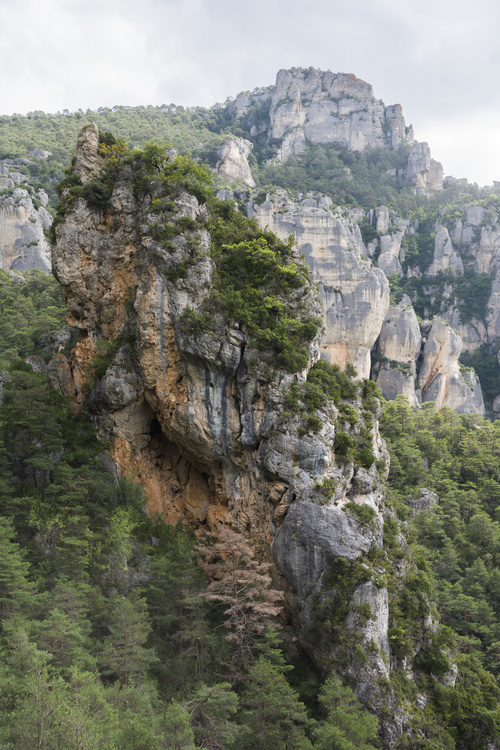 Falaises et vases