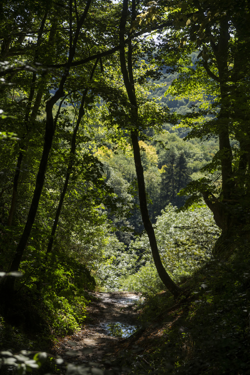 Cascade