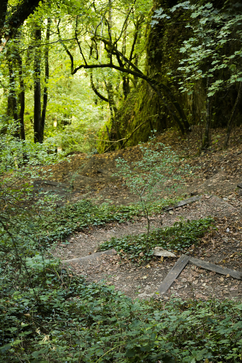 Descente