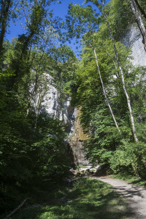 Cascade