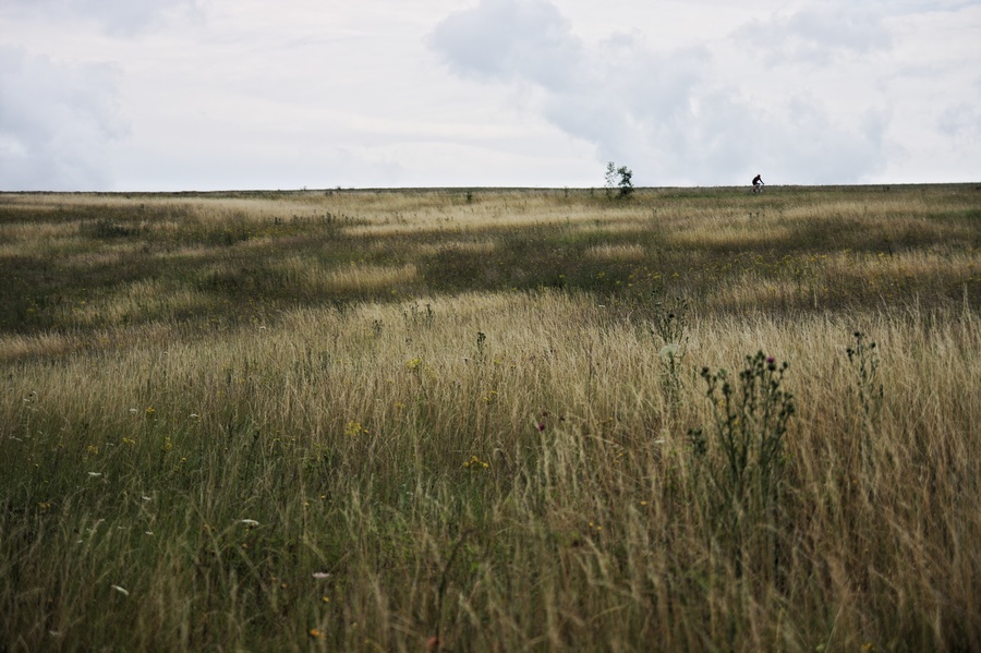 Cycliste