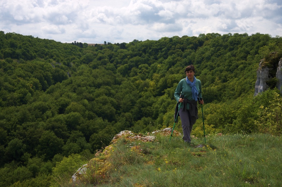 Combe Reveney