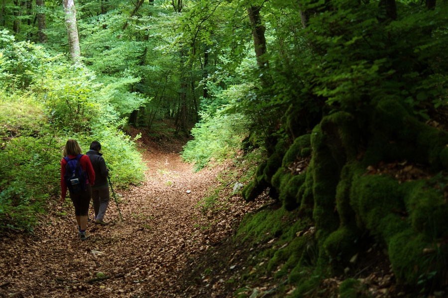Descente