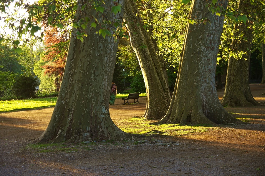 Parc Micaud