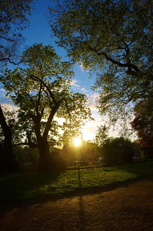 Parc Micaud