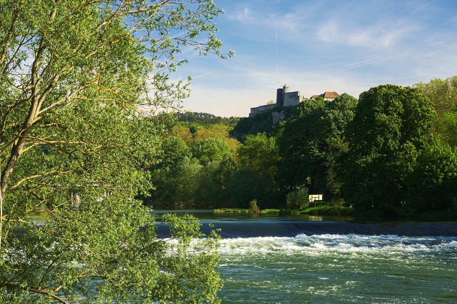 Parc Micaud
