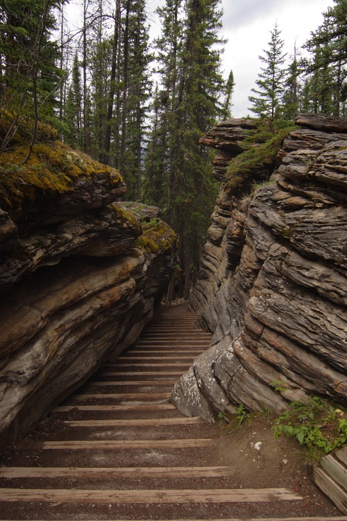 Canyon