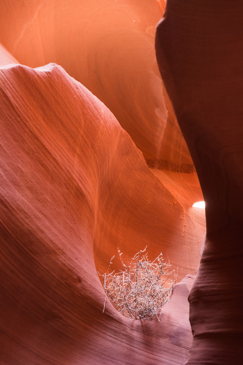 Antelope Canyon