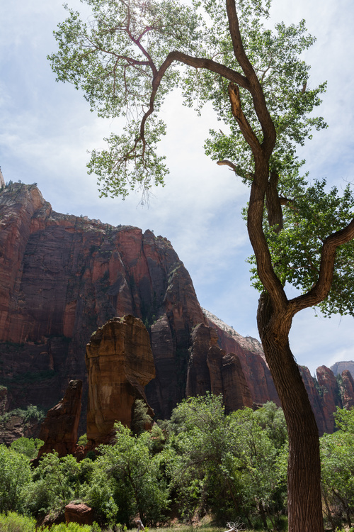 Zion Canyon