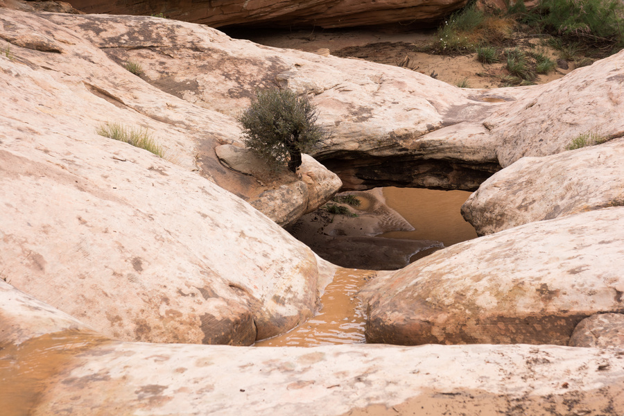 Capitol Reef