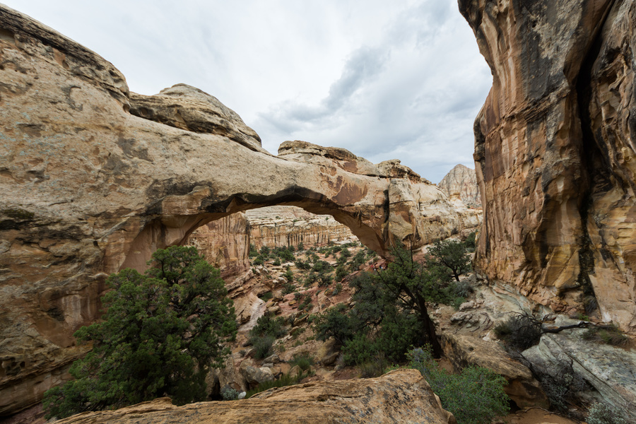 Capitol Reef