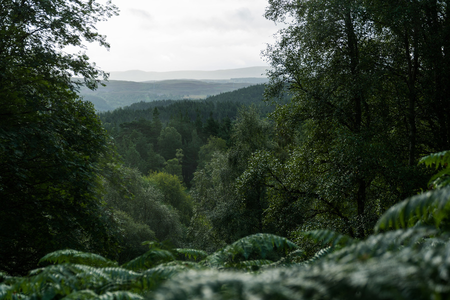 Glen Affric