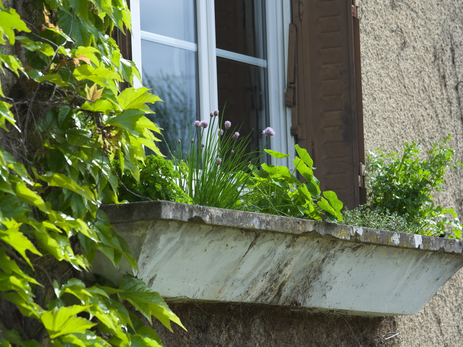 Jardinière