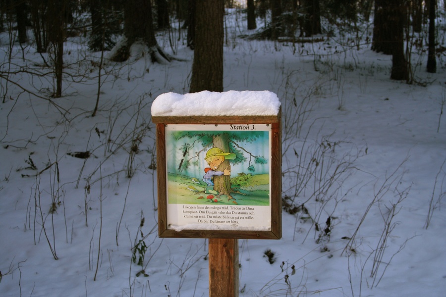 Panneau dans les bois