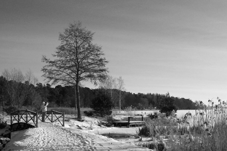Lac Mälar