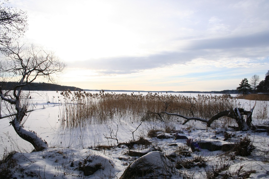 Lac Mälar