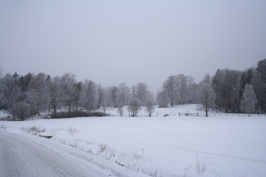 Calme et Froid