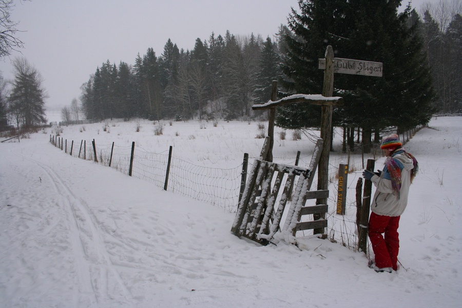 Gula Stigen