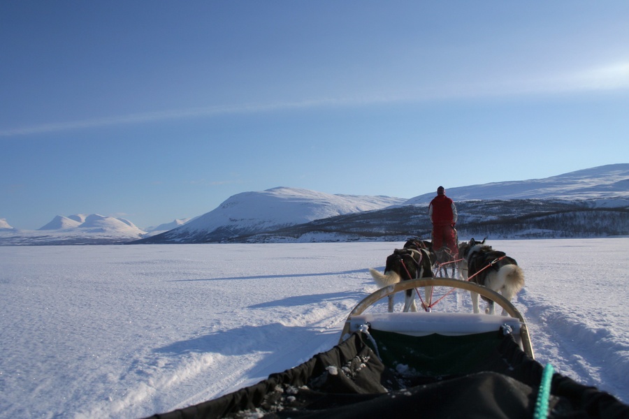 Dog-sledding