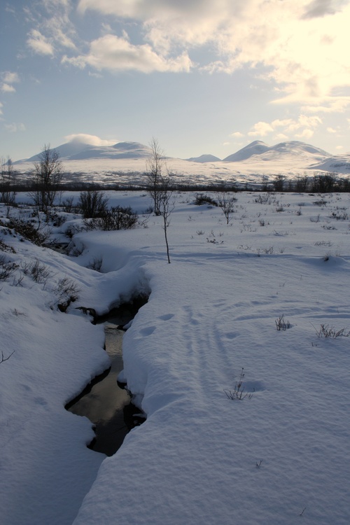 Abisko