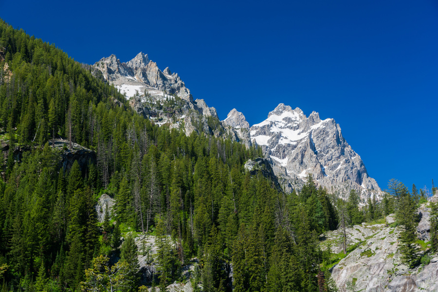 Cascade Canyon