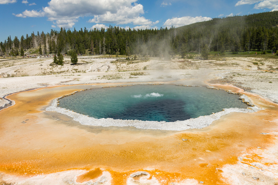Crested Pool