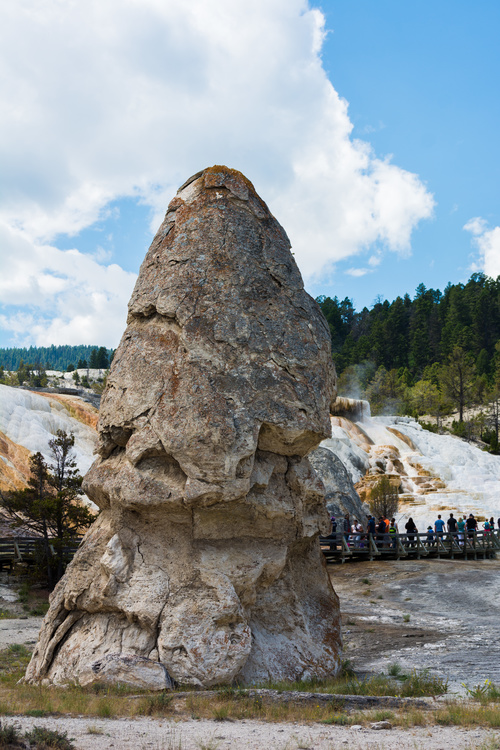 Liberty Cap