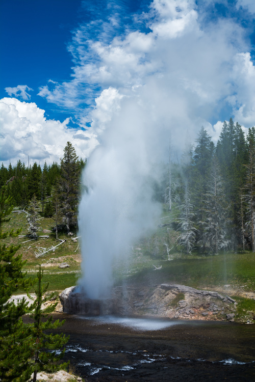 Riverside Geyser